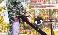  北京奧林匹克森林公園楊柳飛絮防治現(xiàn)場(chǎng)會(huì)